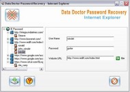 Internet Explorer Password Revealer screenshot